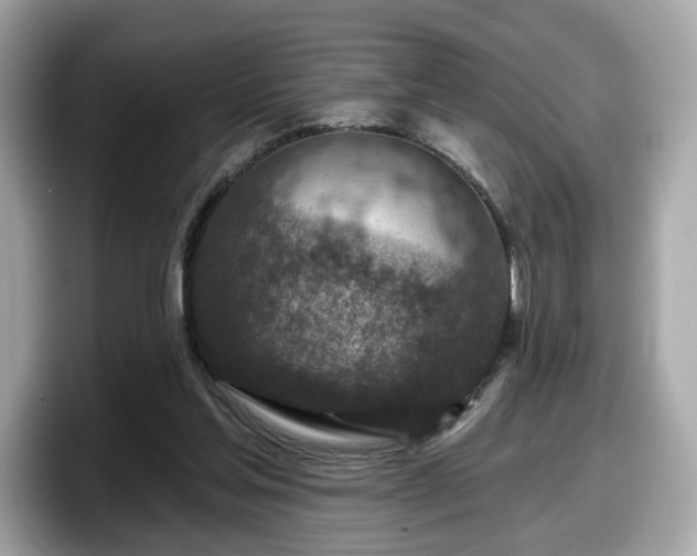 X0000098070205200804110929