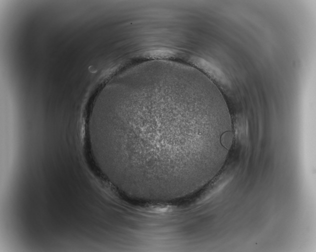 X0000098070206200804110929