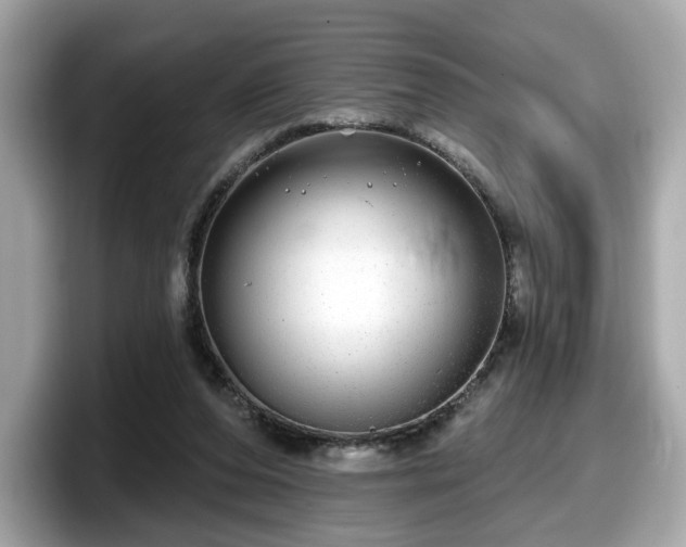 X0000098070208200804110929