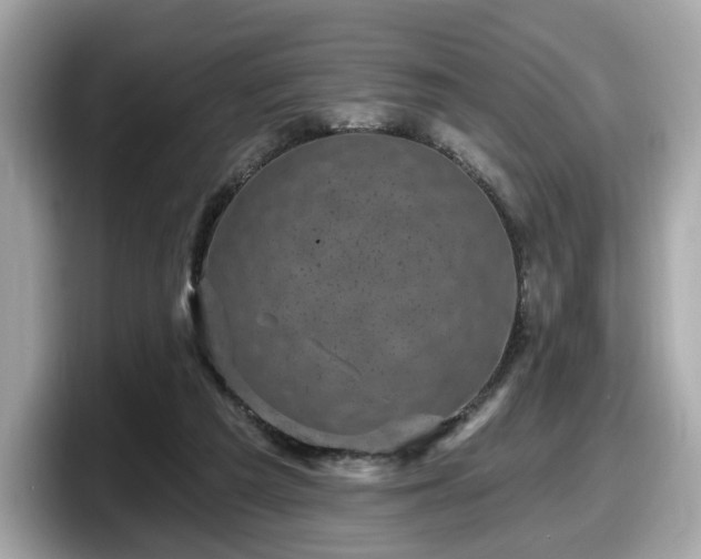 X0000098070209200804110929