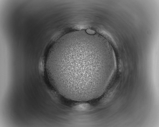 X0000098070210200804110929