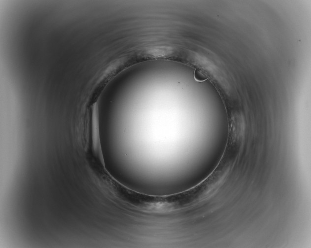 X0000098070212200804110929