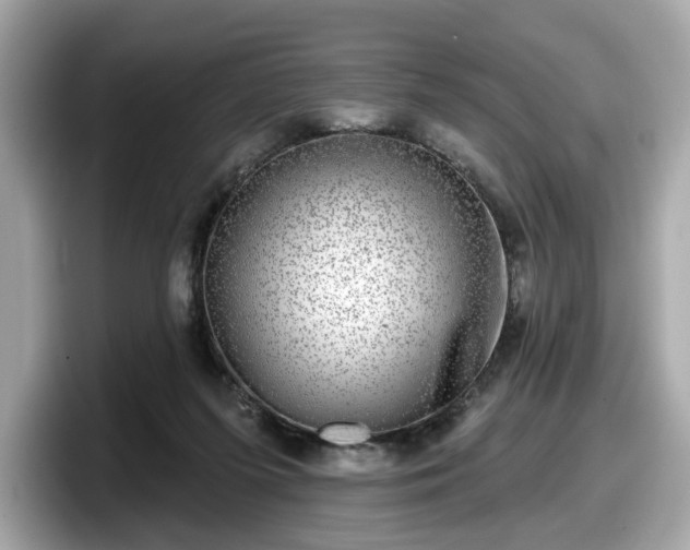 X0000098070215200804110929