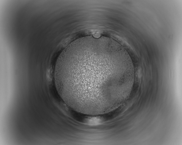 X0000098070218200804110929