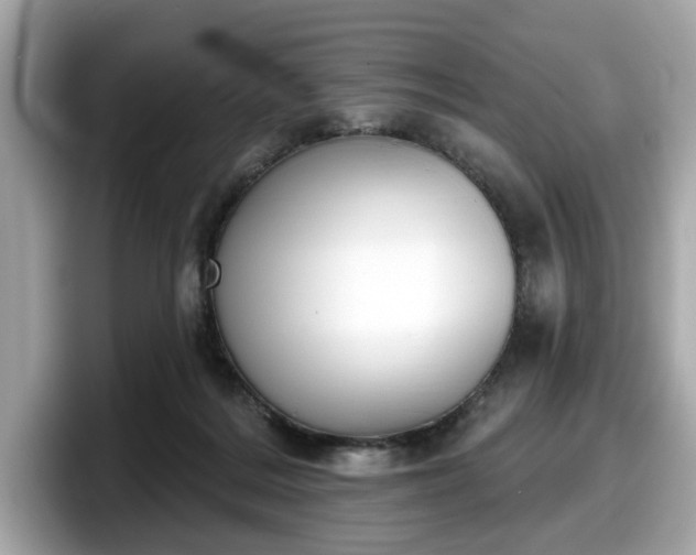 X0000098070220200804110929