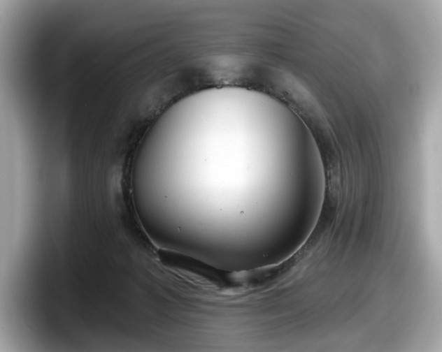 X0000098070221200804110929