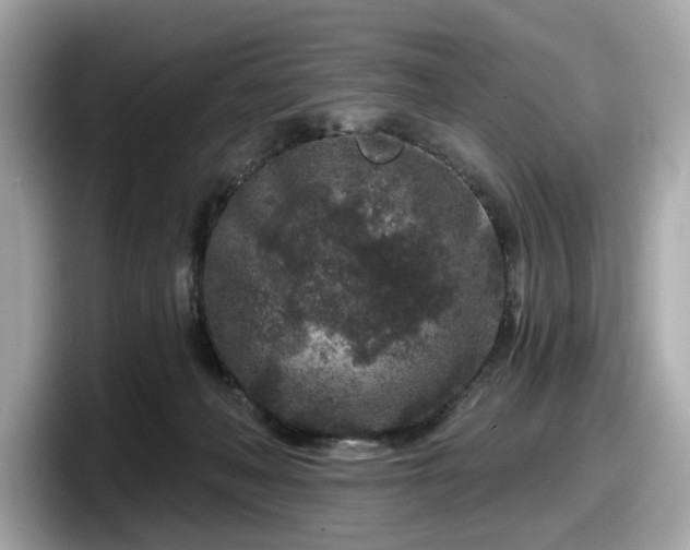 X0000098070222200804110929