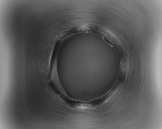 X0000098070223200804110929