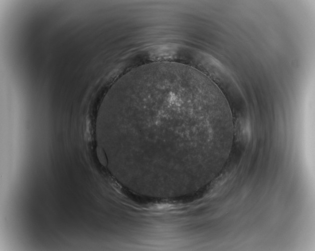 X0000098070224200804110929