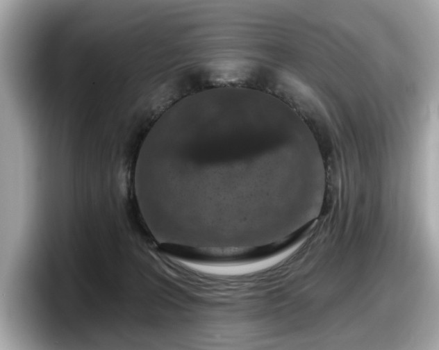 X0000098070227200804110929