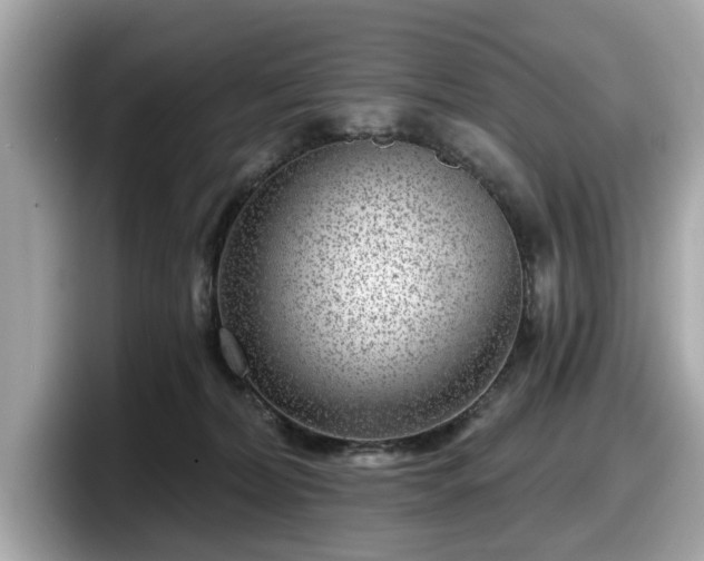 X0000098070228200804110929