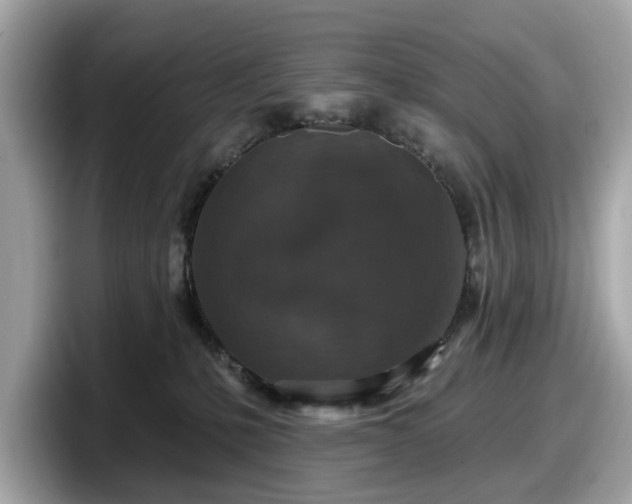 X0000098070231200804110929