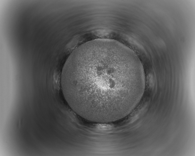 X0000098070234200804110929