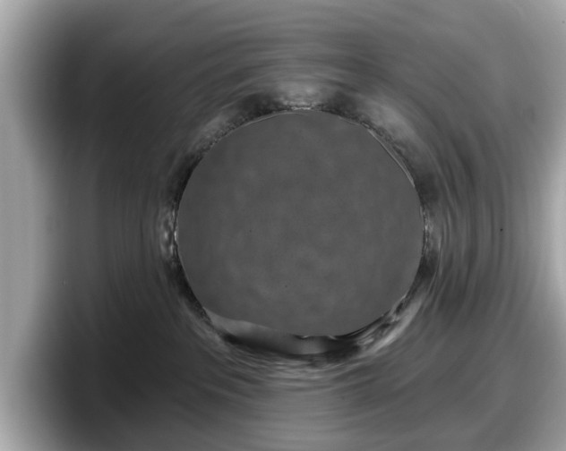 X0000098070237200804110929