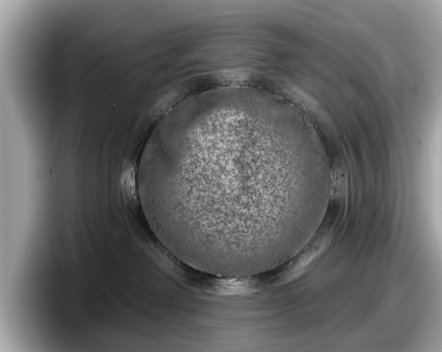 X0000098070238200804110928