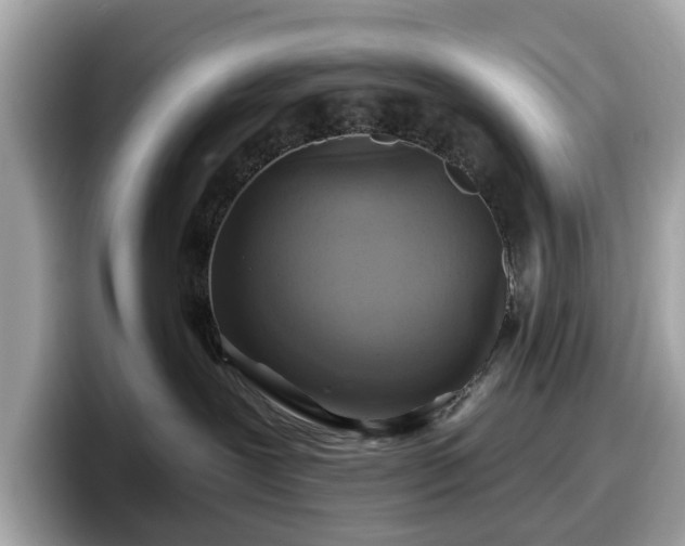 X0000098070239200804110928