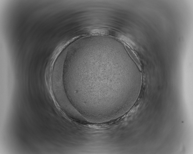 X0000098070241200804110928