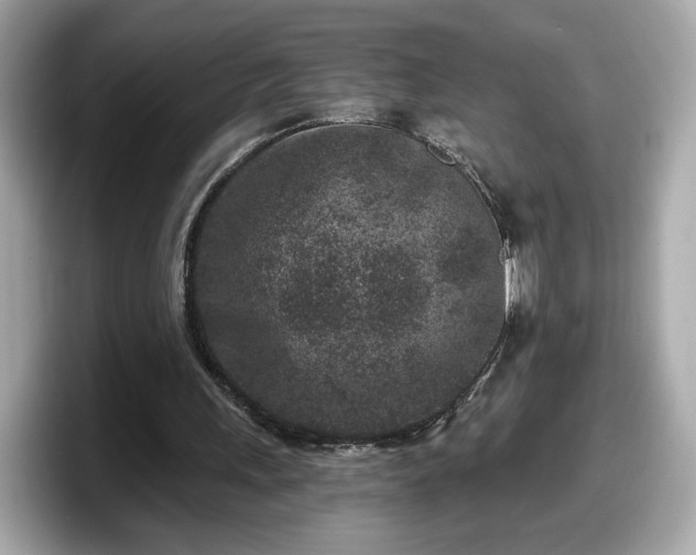 X0000098070243200804110928