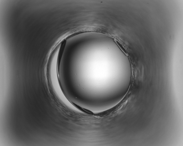 X0000098070244200804110928