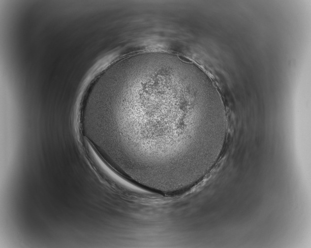 X0000098070245200804110928