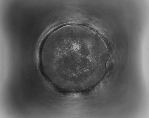 X0000098070247200804110928