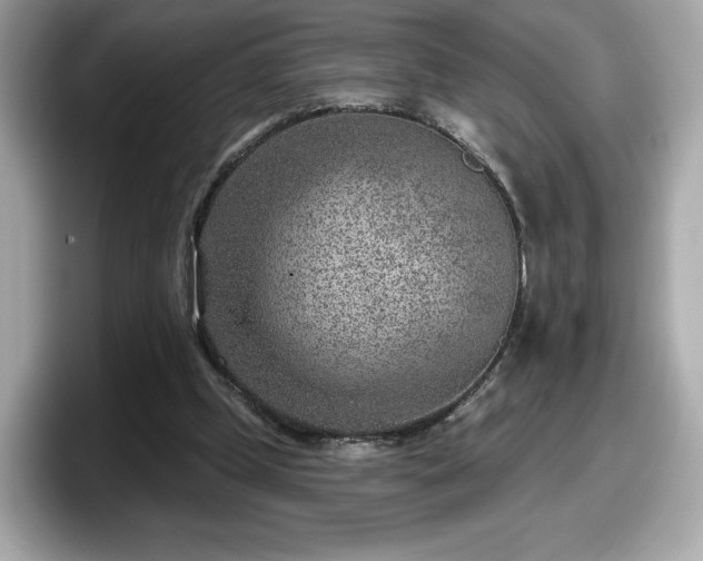 X0000098070249200804110928