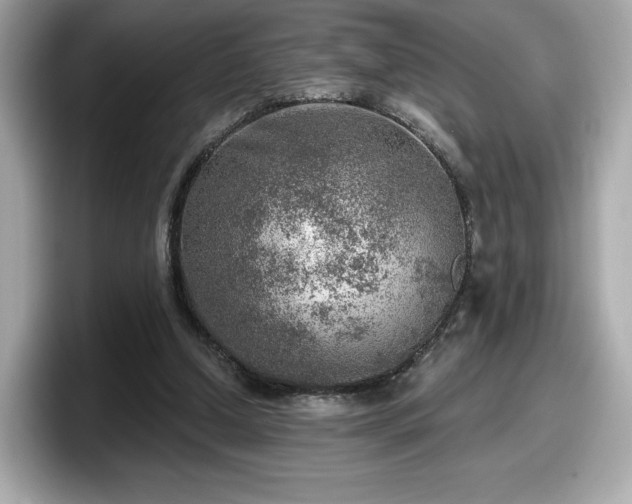 X0000098070250200804110928