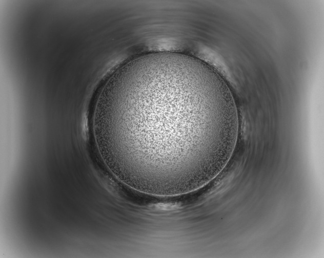 X0000098070251200804110928