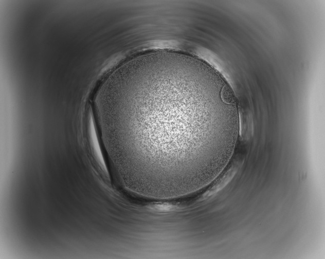 X0000098070253200804110928