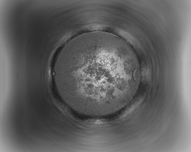 X0000098070254200804110928