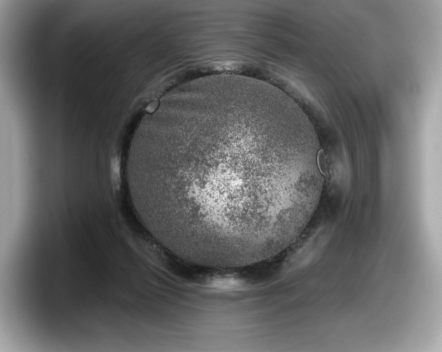 X0000098070262200804110928