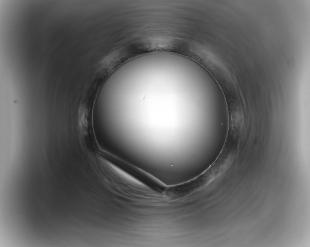 X0000098070264200804110928