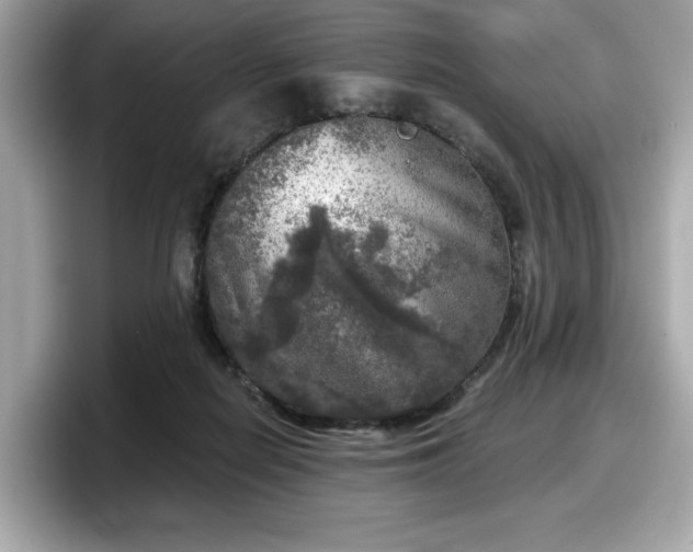 X0000098070266200804110928