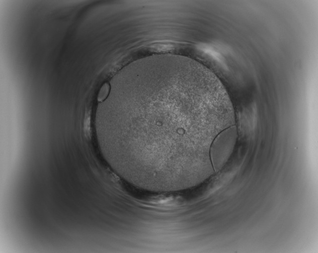 X0000098070267200804110928