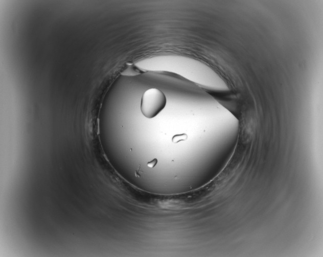 X0000098070268200804110928