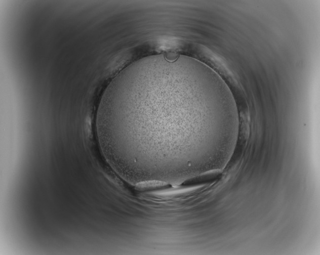 X0000098070269200804110928