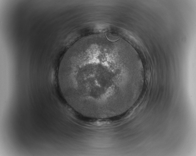 X0000098070270200804110928