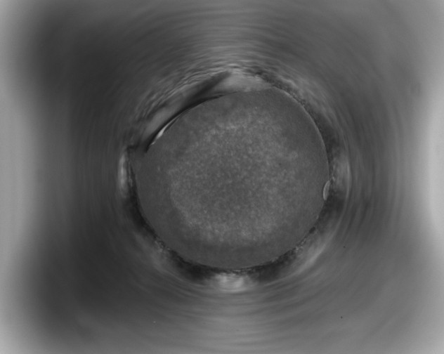 X0000098070272200804110928