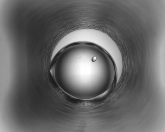 X0000098070276200804110928