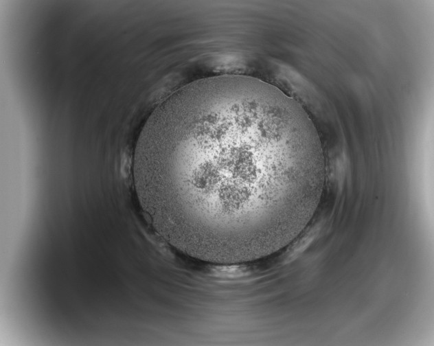 X0000098070281200804110928