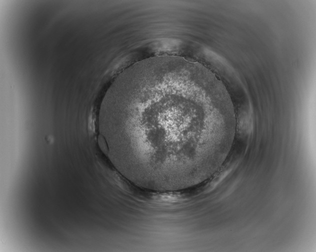 X0000098070282200804110928