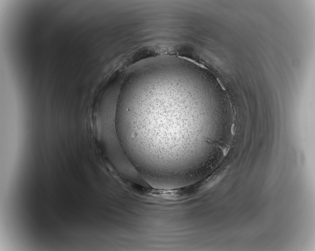 X0000098070288200804110928