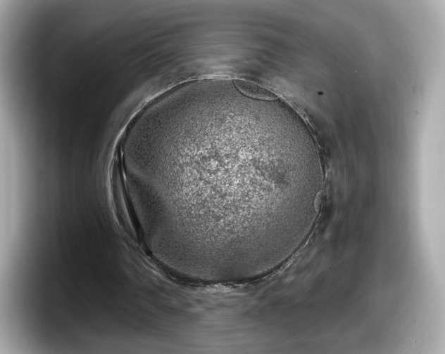 X0000098070290200804110928