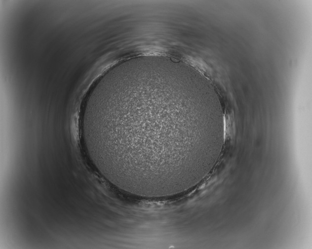 X0000098070291200804110928