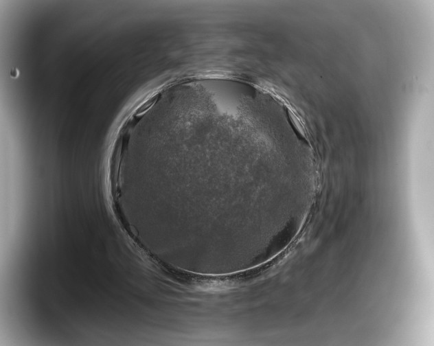 X0000098070293200804110928