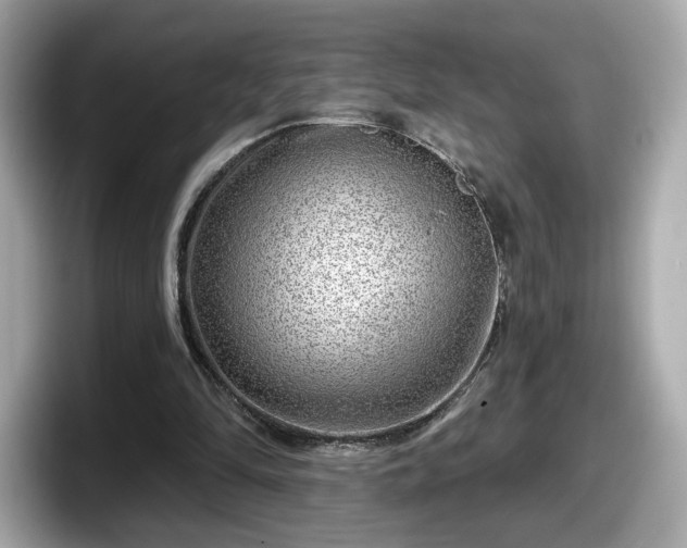 X0000098070294200804110928