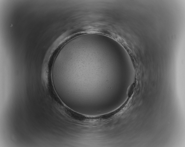 X0000098070295200804110928