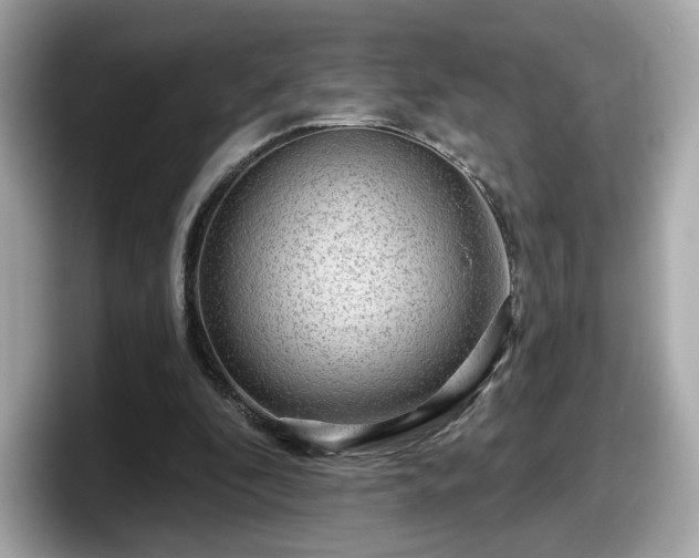 X0000098070296200804110928