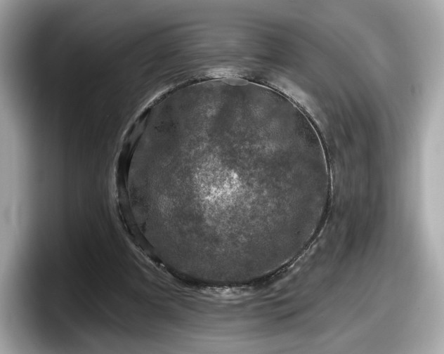 X0000098070297200804110928