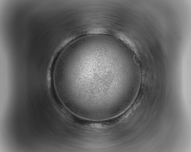 X0000098070298200804110928